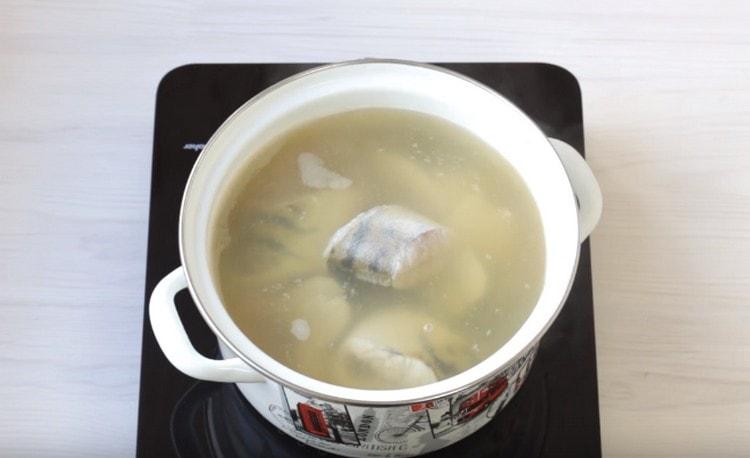 Es ist Zeit, den Fisch hinzuzufügen.