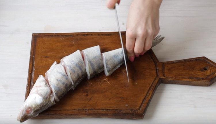 Zu Beginn putzen und waschen wir meinen Zander. in portionierte scheiben schneiden.