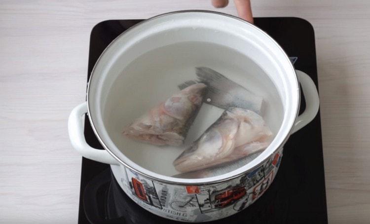 Wir legen den Kopf und den Schwanz des Fisches in eine Pfanne, füllen ihn mit Wasser und bereiten ihn zum Kochen vor.