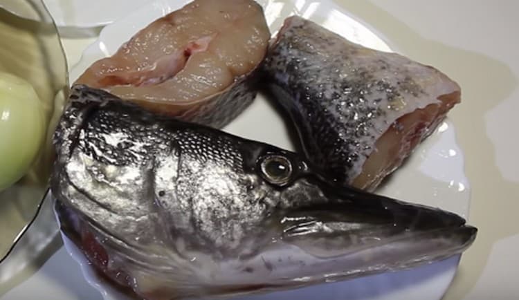 Grizele trebuie îndepărtate de pe capul știucului, astfel încât să nu strice gustul vasului.