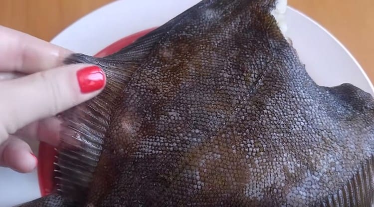 نقوم بتنظيف السمك المفلطح ، مقطوعًا عند جثث الرأس.