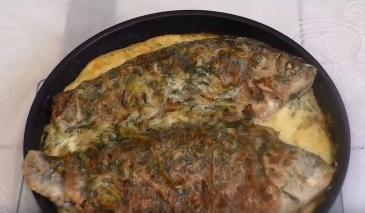 Křižák v zakysané smetaně v troubě. uvařený podle tohoto receptu se ukáže, že je velmi něžný.