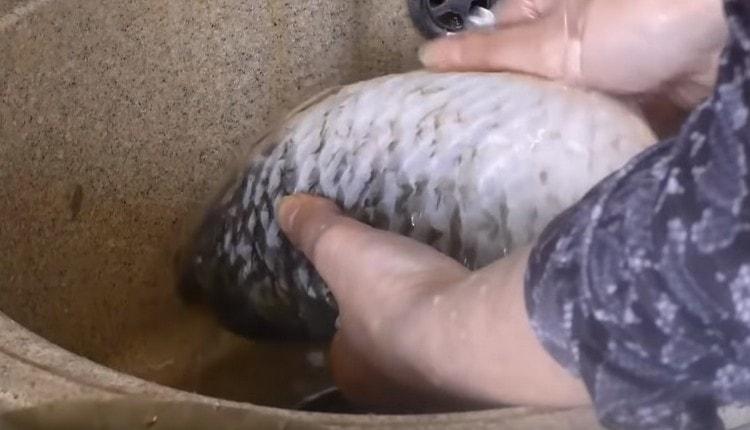 Myjeme a čistíme křižníky.