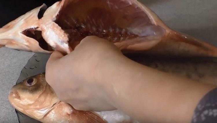 Ryby jsme vykuchali.