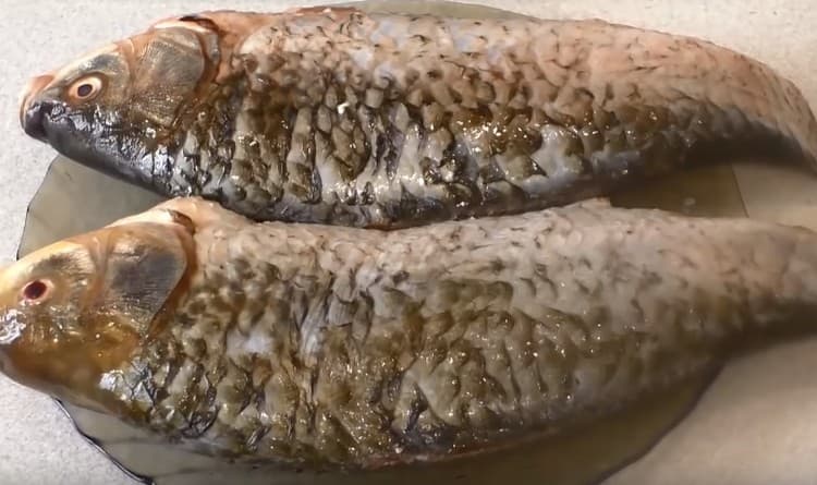 Jatečně upravená těla třete solí.