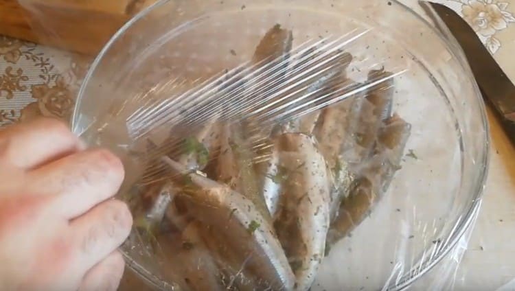 Balıkları bir filmle sıkın ve marine edin.