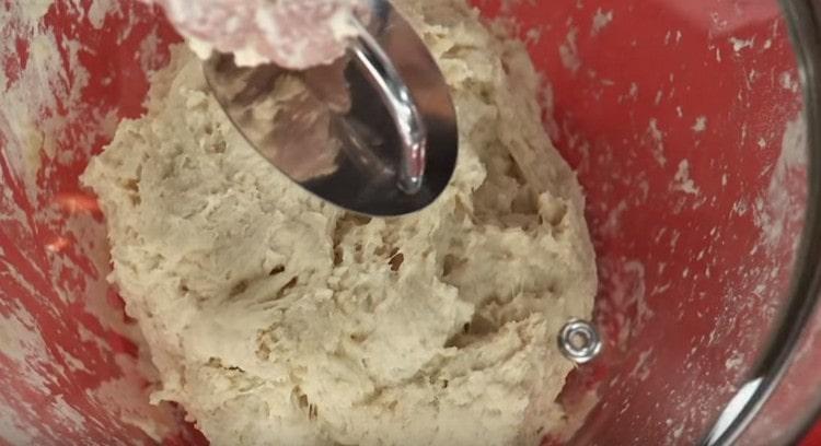 Den Teig mit einem Deckel abdecken und ziehen lassen.