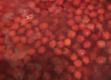 Bebida de fruta Viburnum - muito saudável e refrescante