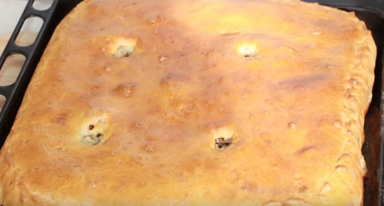 Tal pastel se hornea durante aproximadamente una hora.