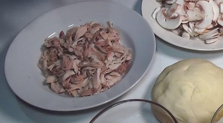 Desgarro de carne de pollo en fibra.