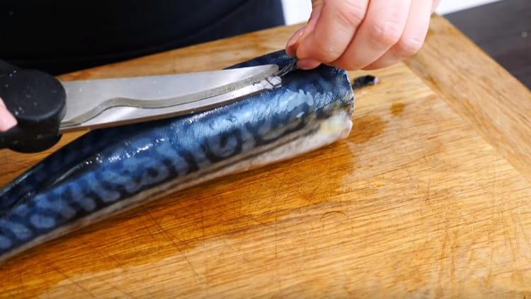 Couper les ailerons avec des ciseaux.