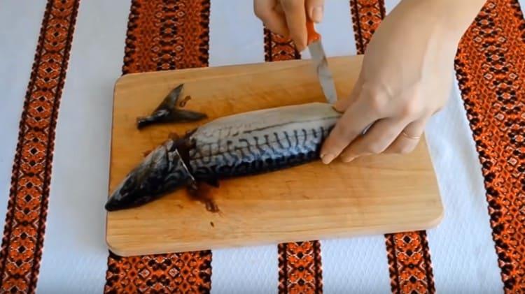 Wir säubern den Kadaver von Makrelen.