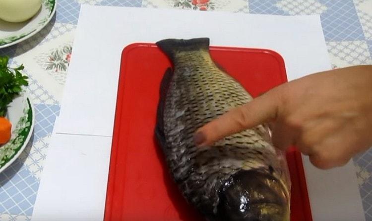 קרפיון מרופד ומנקה.