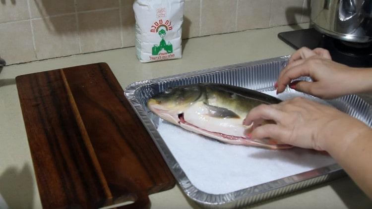 Étaler sur une couche de sel de carpe.