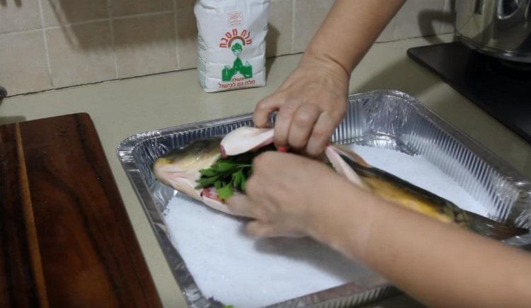 Dans l'abdomen du poisson, nous déposons un bouquet d'aneth ou de persil.