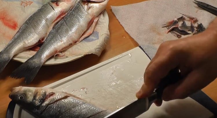 Nous faisons des coupes sur chaque carcasse.