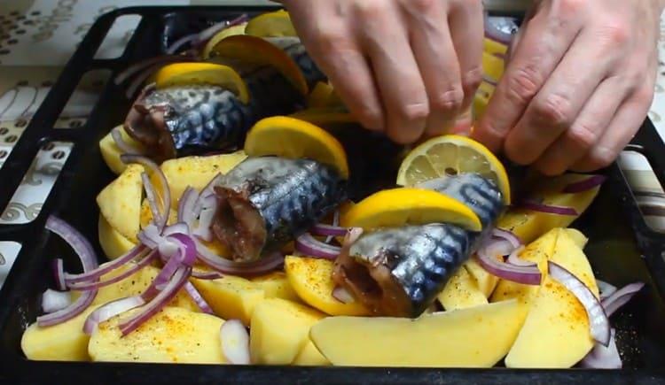 Поставете резени лимон в разрезите на труповете.