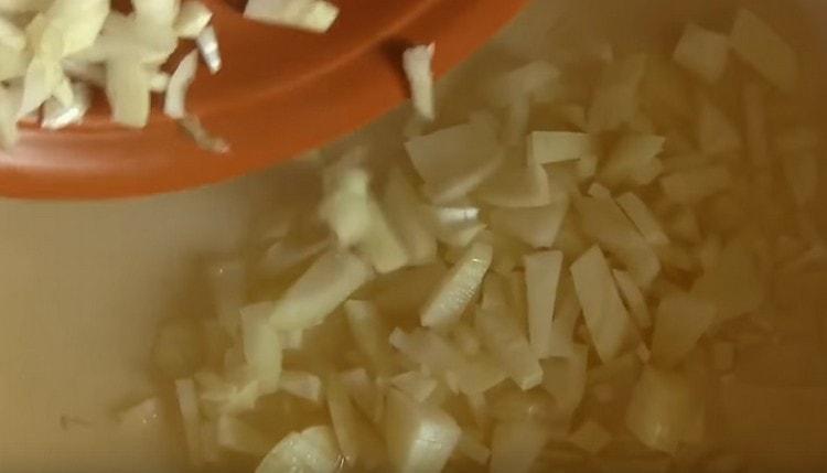 Coloque as cebolas em uma panela pré-aquecida com óleo vegetal e frite um pouco.