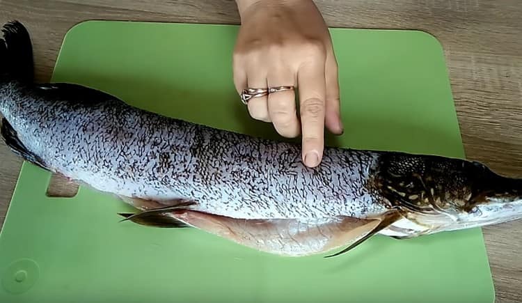 Нежно щукайте каналите и ги почиствайте от люспи.