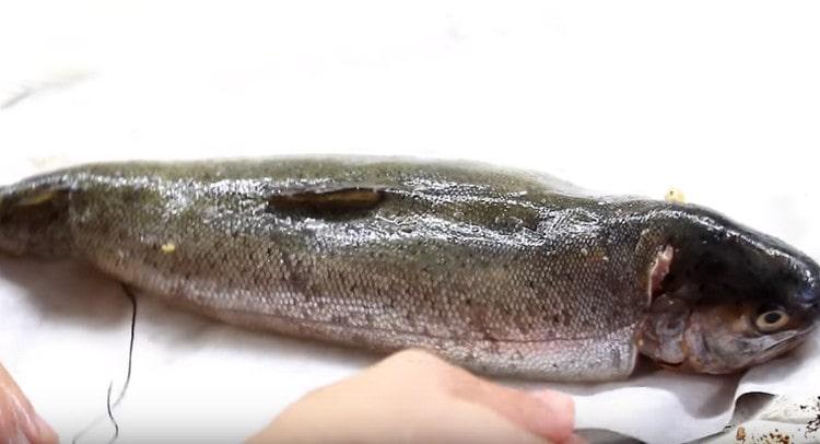 Punem peștele pe o foaie de copt și îl trimitem la cuptor.