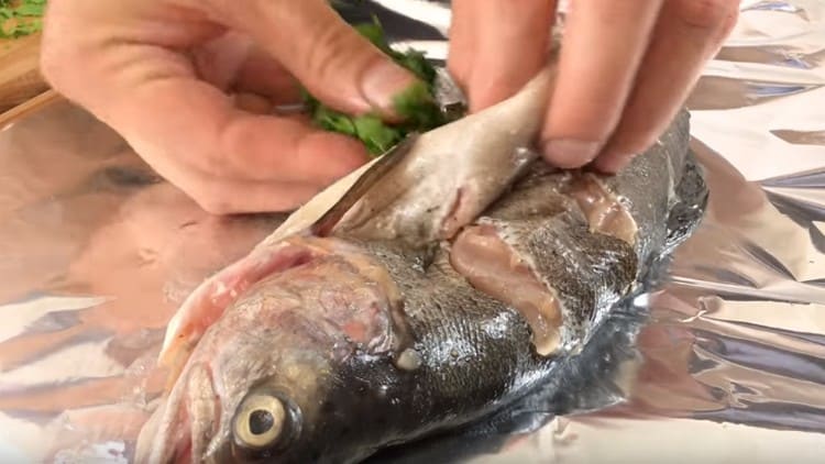 Enchemos truta com salsa picada.