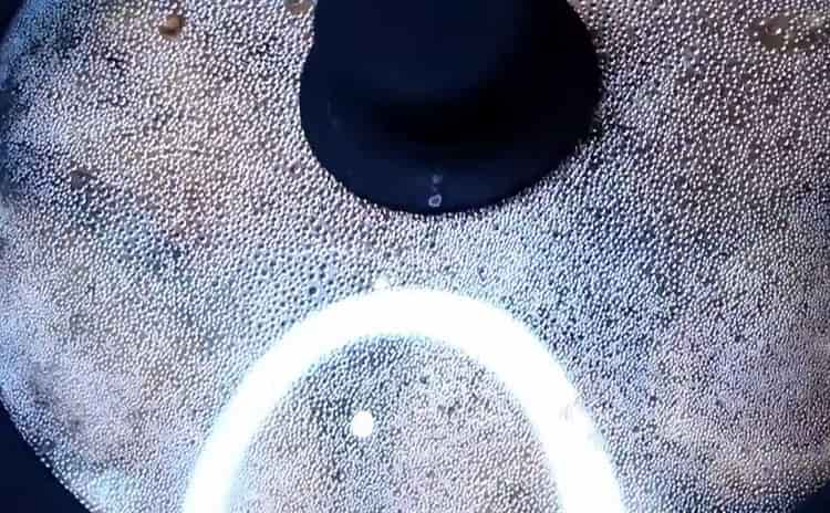 Para cocinar salmón rosado en una sartén, cubra el pescado con una tapa