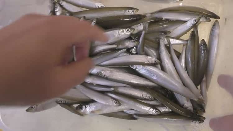 Förbered smältan genom att förbereda saltfisken