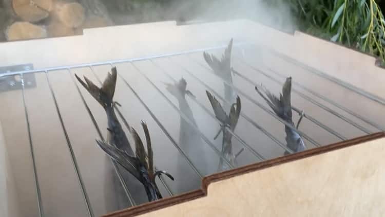 For at tilberede koldrøget fisk skal du forberede det nødvendige udstyr