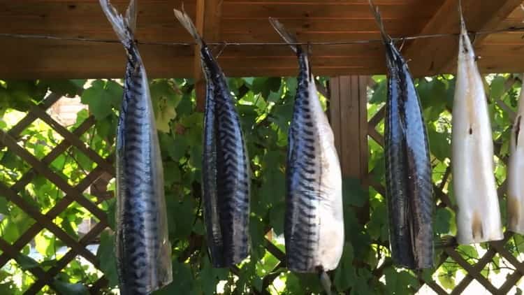 Tør fisken for at koge koldrøget fisk