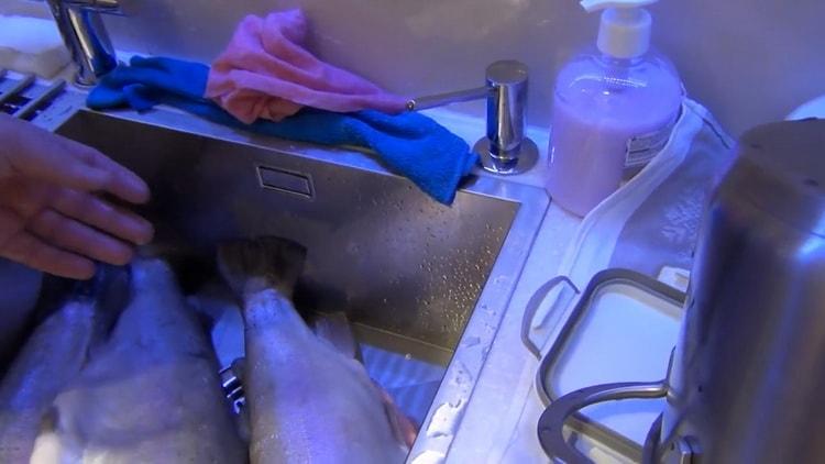 להכנת דגים מלוחים, הכינו את החומרים