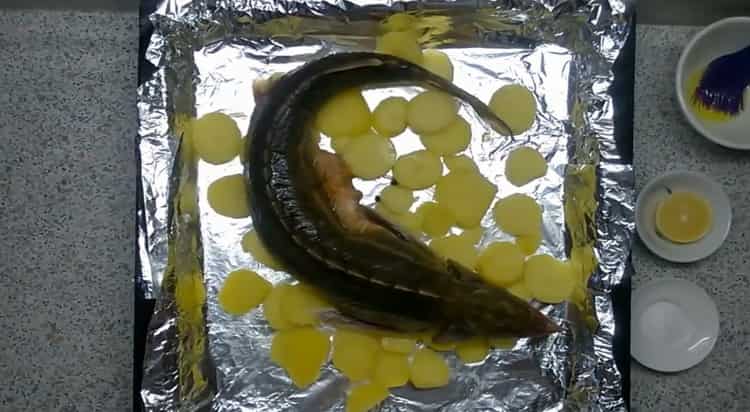 Upang ihanda ang sterlet, ilagay ang form sa mga form