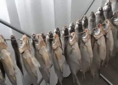 Hvordan man lærer at lave lækker tørret fisk