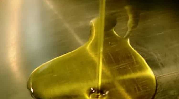 Coloque una sartén para hacer fricasé de conejo