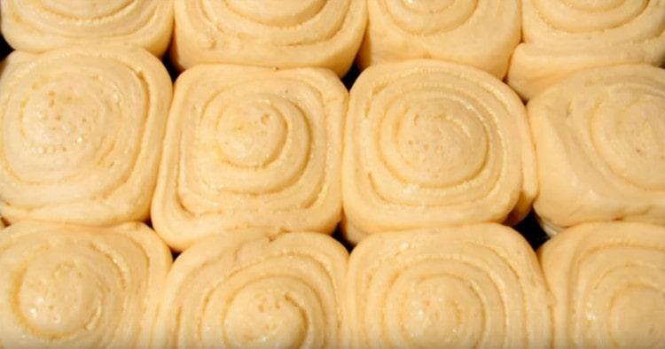 جاء الكعك ، والآن يمكن وضعها في فرن مسخن مسبقاً.