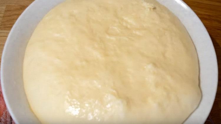 في مكان دافئ ، ذهب العجين تماما.