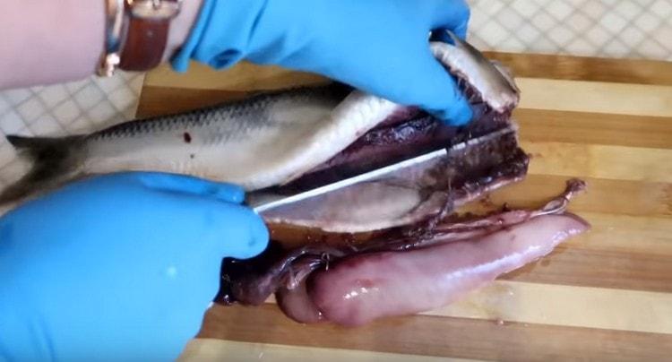 Estripar o arenque, cortar a cabeça.