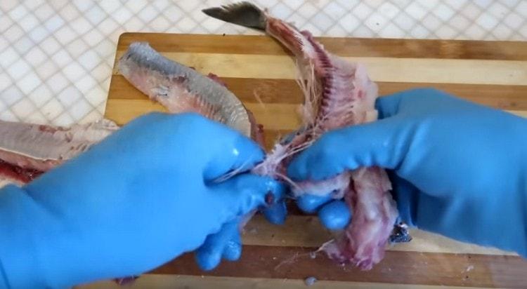 Nós removemos a cordilheira.