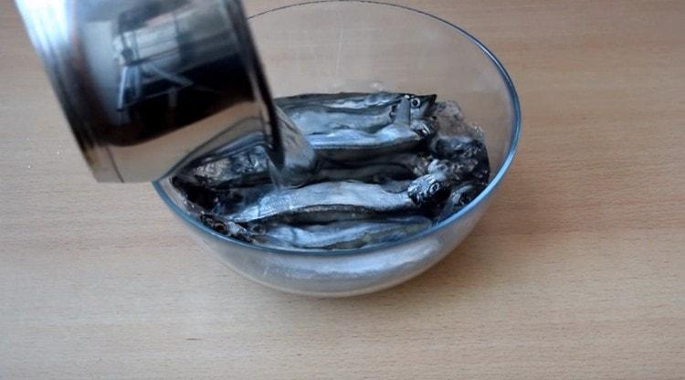 Capelan refroidi avec marinade refroidie.