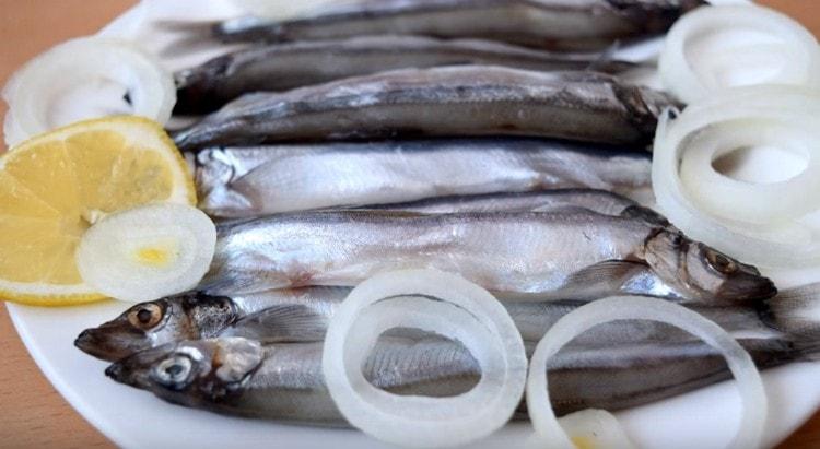 Maintenant, vous savez comment saler le capelan.