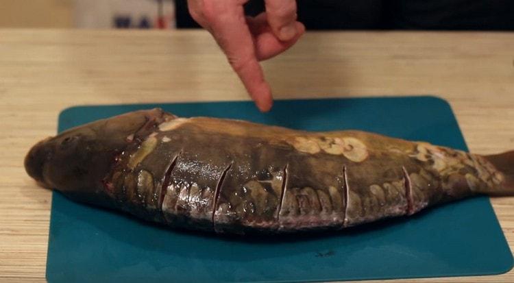 Pe partea din spate a crapului facem tăieturi adânci.