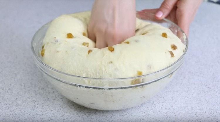 Nous écrasons la pâte approchée.