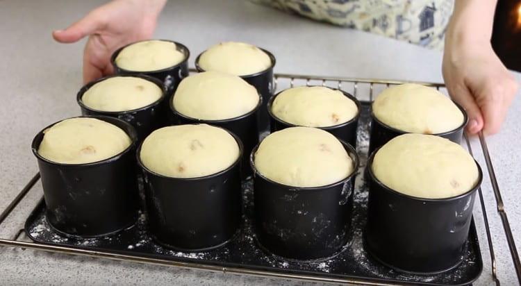 Nous laissons les blancs dans un endroit chaud pour qu'ils puissent se lever.