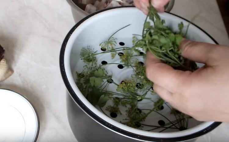 Ajouter du persil pour la saveur.