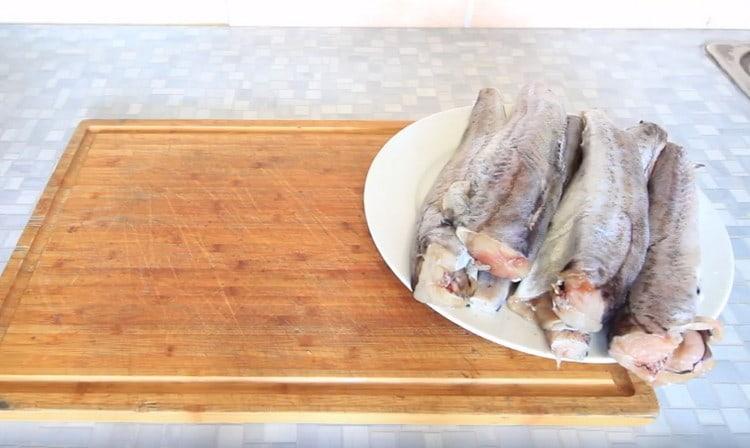 Изкормени трупове на минтай, отрязани опашките.