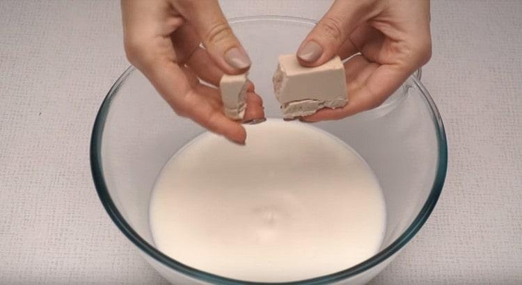 Crumble de fermento em leite.