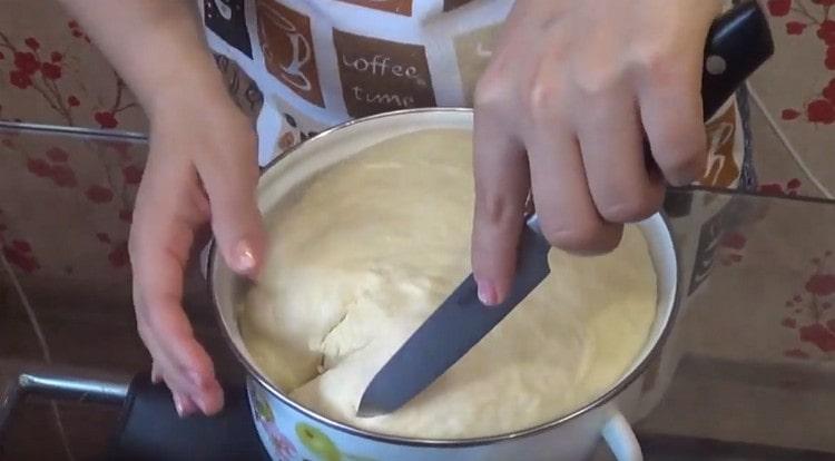 نحن ننهار العجين الصاعد ونتركه يرتفع مرة أخرى