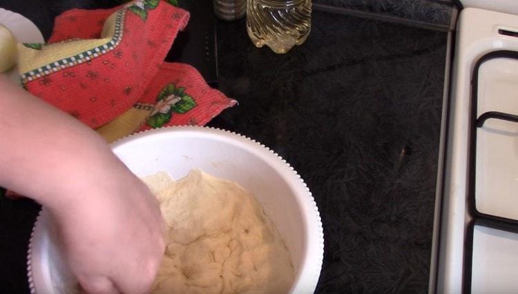 Aluatul a apărut, îl poți frământa.