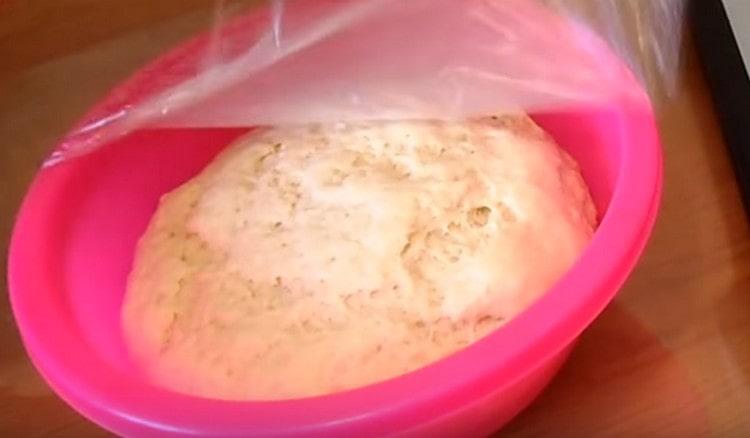 Den Teig mit einem Film bedecken und eine Weile ruhen lassen, damit er aufsteigt.