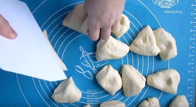 Tărâmăm aluatul înălțat și împărțim în bucăți porționate.