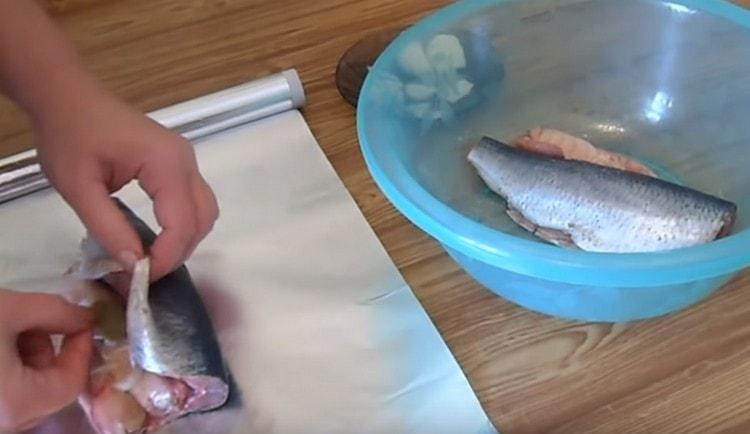 פרשנו את נבלת ההרינג על נייר הכסף, הנחנו את החלב בפנים, אם בכלל, כמו גם את הבצל ועלי הדפנה.